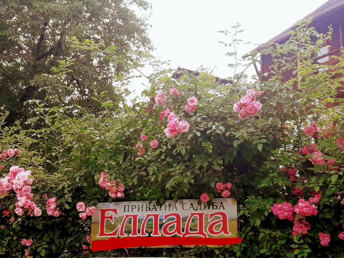 Sadyba Ellada Yaremche Dış mekan fotoğraf